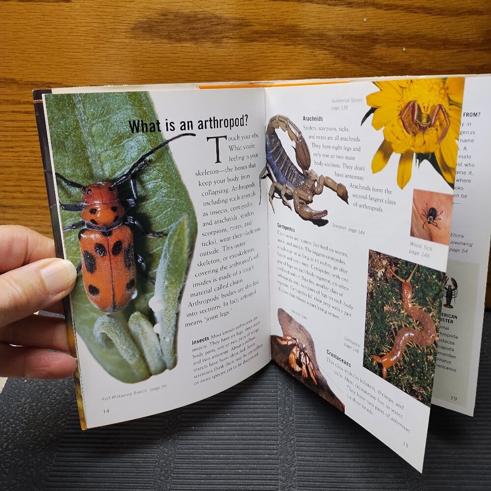 Book on Insects - Picture 2 of 2